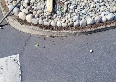 Hardscaping (9)