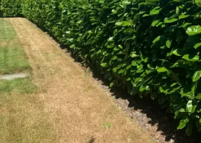 Landscaping Services (1)