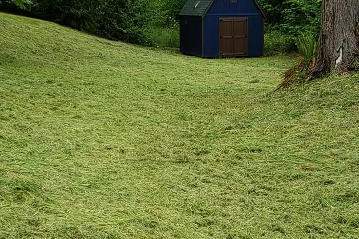 Lawn Care Service Lawn Care Service