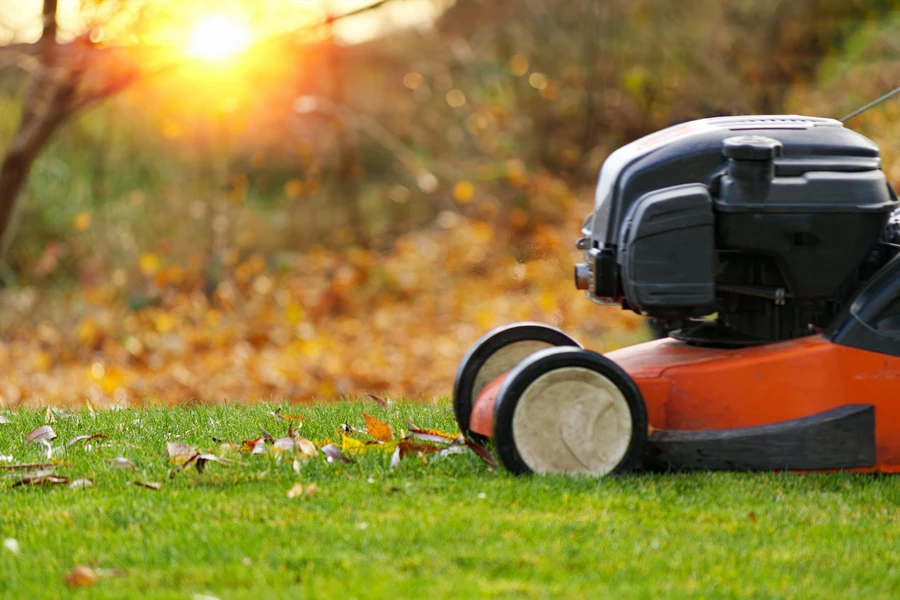 Integrating Pest Control Into Your Lawn Care Routine in Bremerton, WA Integrating Pest Control Into Your Lawn Care Routine in Bremerton, WA