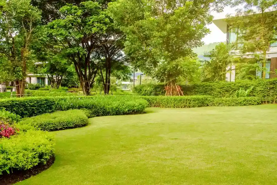 Premium Residential Landscaping Bremerton, WA Premium Residential Landscaping Bremerton, WA
