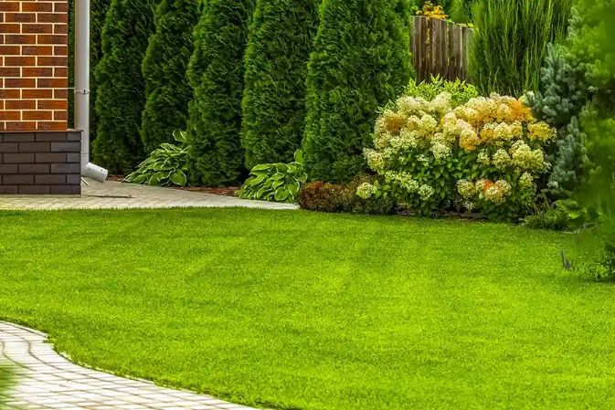 Quality Lawn Care Service Bremerton, WA 98337