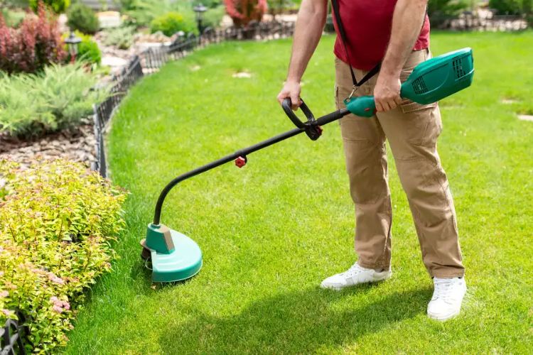 Reputable Lawn Care Service Bremerton, WA 98337