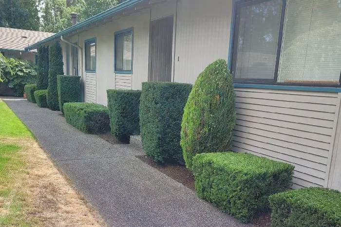 Santos Landscaping & Maintenance LLC's Other Services