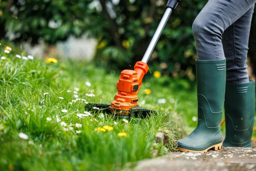 Top-rated Lawn Care Service Bremerton, WA 98337